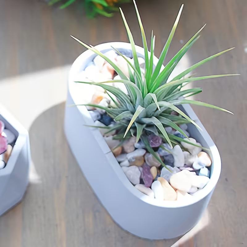 Silikonform Hohe Schale Oval