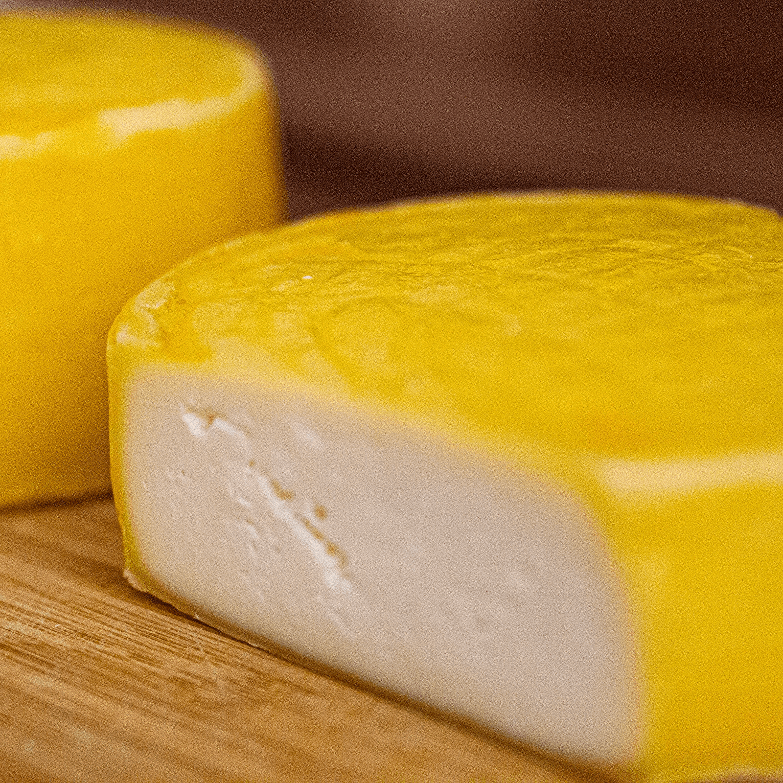 Bakterienkultur für Gouda - Käse - Craftguru