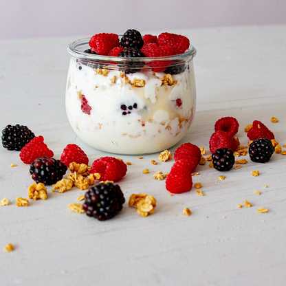 Joghurt selber machen – Komplettset mit Joghurtmaschine