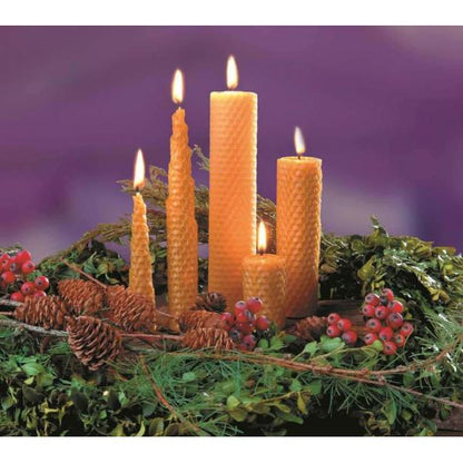 Bienenwachswaben 3 Stück 220x170 mm mit Docht - Craftguru