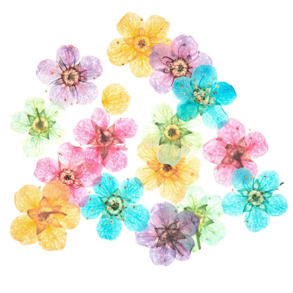 Füllmaterial für Resin Trockenblumen Bunt 15 Stück - Craftguru