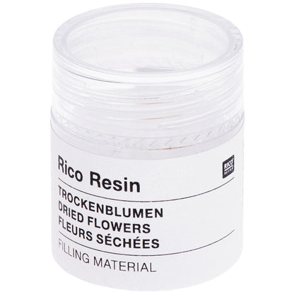 Füllmaterial für Resin Trockenblumen Weiß 15 Stück - Craftguru