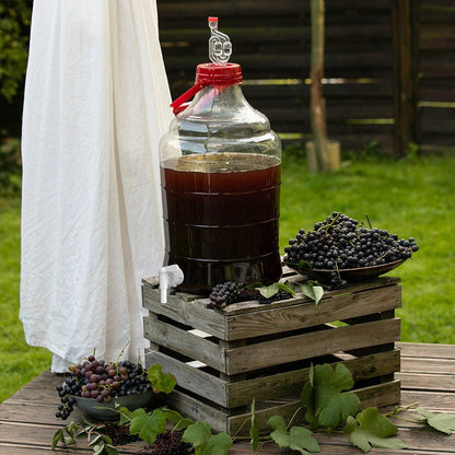 Weinset Easy - einfache Herstellung von hausgemachtem Wein - Craftguru